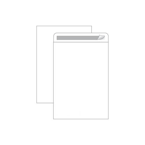 Envelope Saco Branco 229x324mm 100gr Autodex Cx250