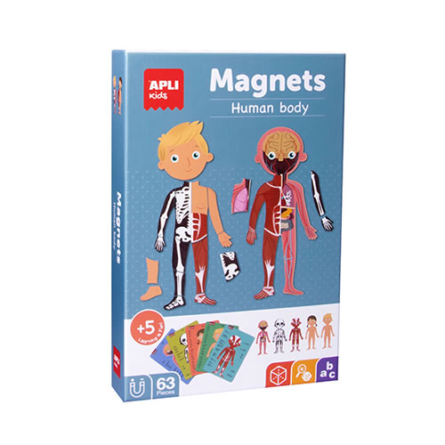 Jogo Educativo Magnético "Corpo Humano"